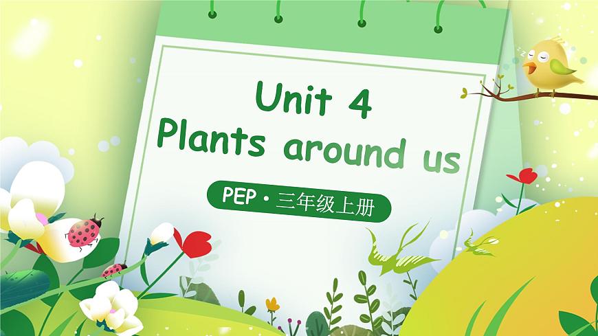 2024年秋人教PEP英語三上：Unit 4 詞匯講解PPT第1頁