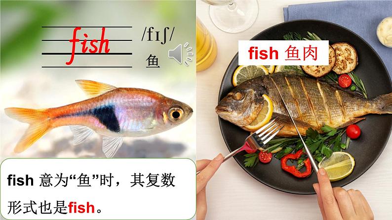 小学英语新人教版PEP三年级上册 Unit3 Amazing animals Part A第2课时教学课件(2024秋)第8页