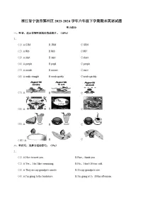 浙江省宁波市鄞州区2023-2024学年六年级下学期期末英语试题(含答案)