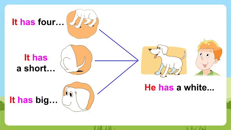 牛津译林版英语五上 Unit 3 Our animal friends Grammar time & Fun time课件+素材05