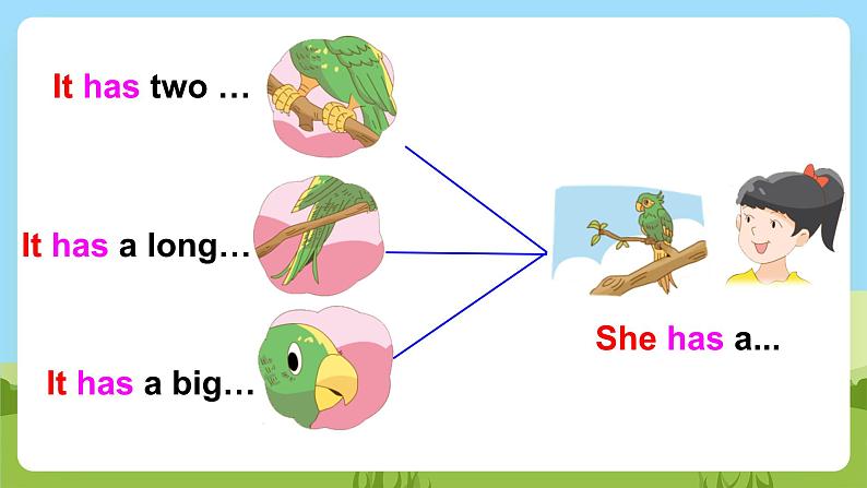 牛津译林版英语五上 Unit 3 Our animal friends Grammar time & Fun time课件+素材07