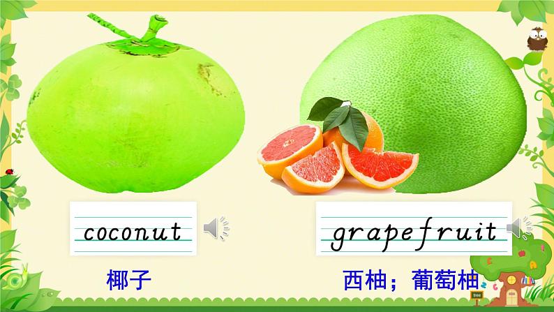 unit 6 It's a grapefruit. Lesson 31-32(课件)-2024-2025学年人教精通版英语五年级上册05