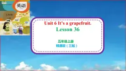 unit 6 It's a grapefruit. Lesson 36（课件）-2024-2025学年人教精通版英语五年级上册