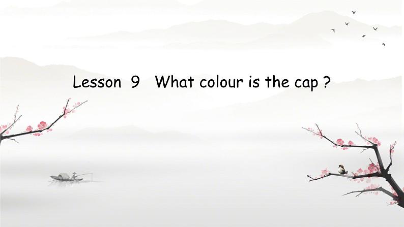 Lesson 9 What colour is the cap(课件)-2024-2025学年科普版英语三年级上册01
