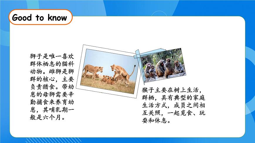 【核心素養(yǎng)】人教版英語三年級上冊-Unit 2 Different families Part C Reading time課件第8頁