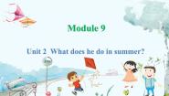 小学英语Unit 2 What does he do in summer?课文内容课件ppt
