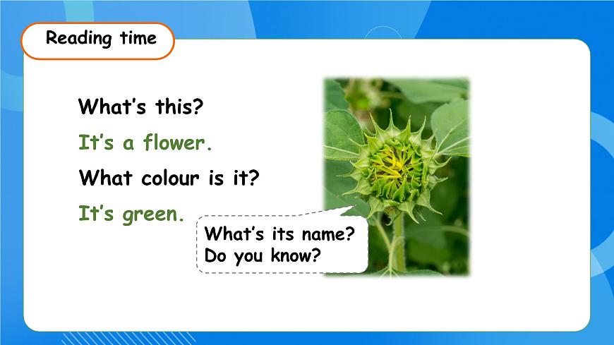 【核心素養(yǎng)】人教版英語三年級上冊-Unit 5 The colourful world  Part C Reading time課件第8頁