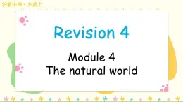 Revision (Module 4)（课件）2024-2025学年牛津上海版（三起）英语六年级上册