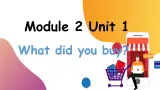 【核心素养】外研版英语五年级上册 Module 2 Unit 1 What did you buy 同步课件+同步练习