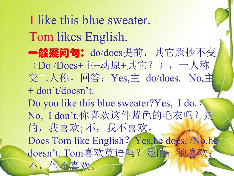 译林版小升初小学英语语法:do.does的用法课件第6页