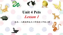 Unit 4 Pets Lesson 1（课件）-2024-2025学年人教新起点版英语三年级上册