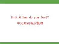 Unit 6  How do you feel？ 单元知识考点梳理课件