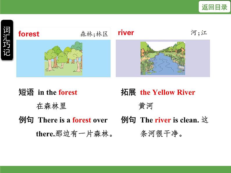 Unit 6 In a nature park单元知识考点梳理 课件第5页