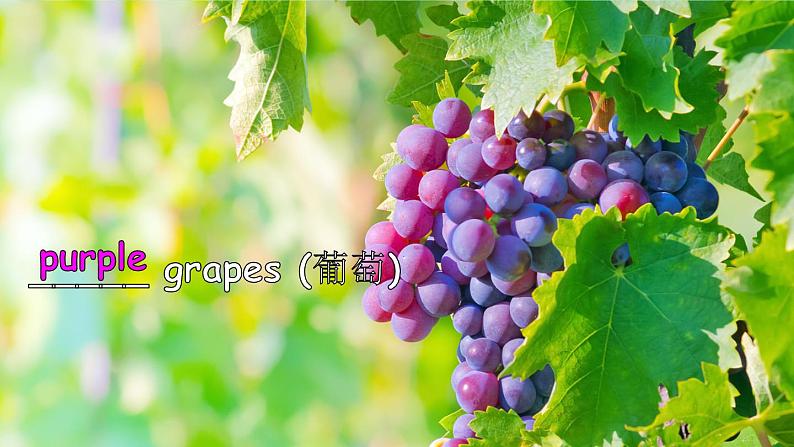 第5课时(Hip it big)第5页