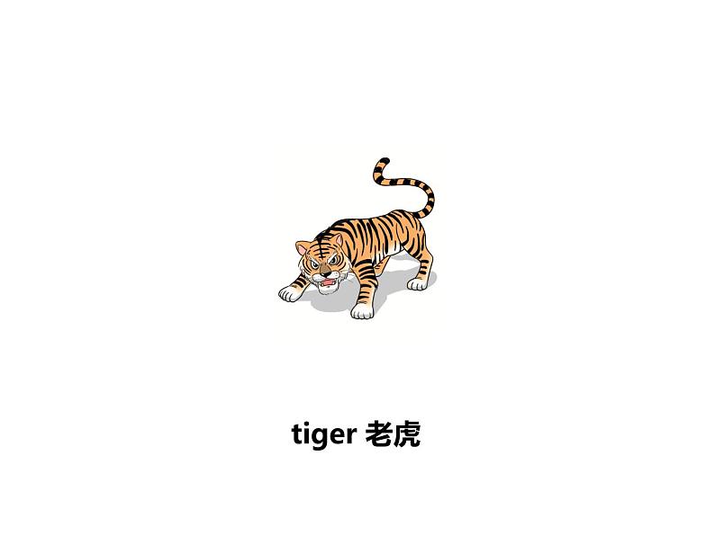 Unit 3 Amazing animals Part B-Start to read 课件第5页