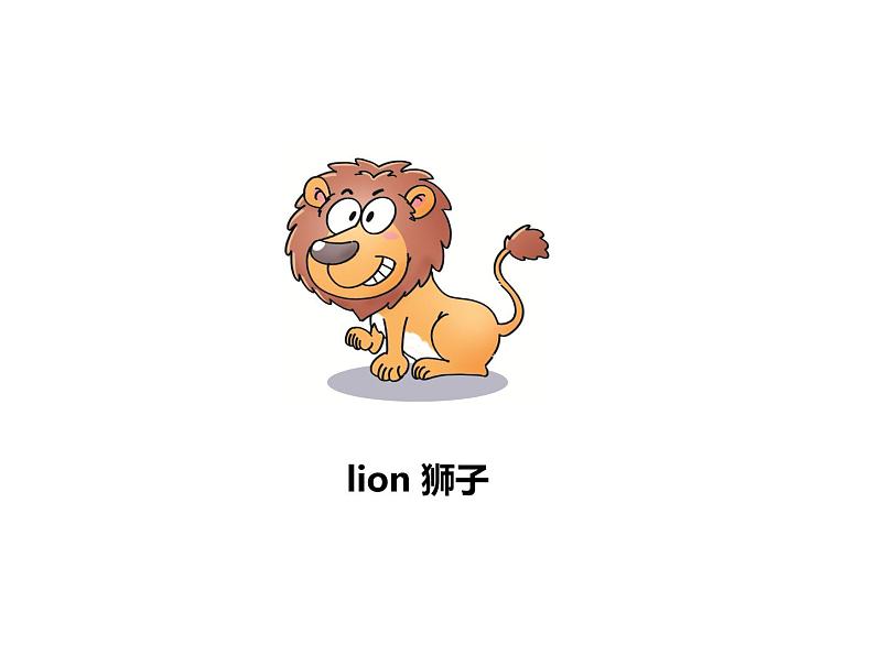 Unit 3 Amazing animals Part B-Start to read 课件第7页