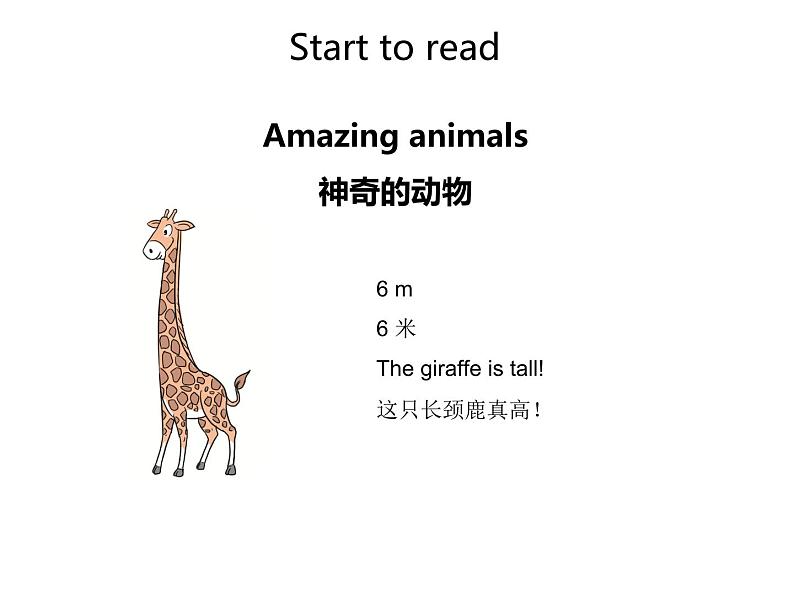 Unit 3 Amazing animals Part B-Start to read 课件第8页