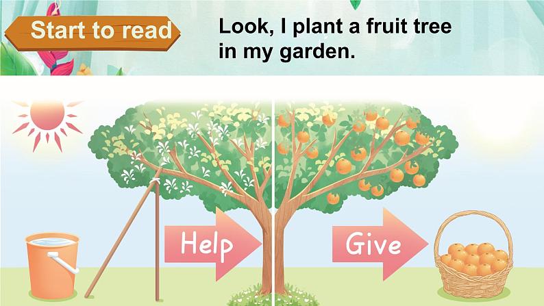 Unit 4 Plants around us Part B Start to read &Listen and chant(课件)-2024-2025学年人教版(2024)英语三年级上册07