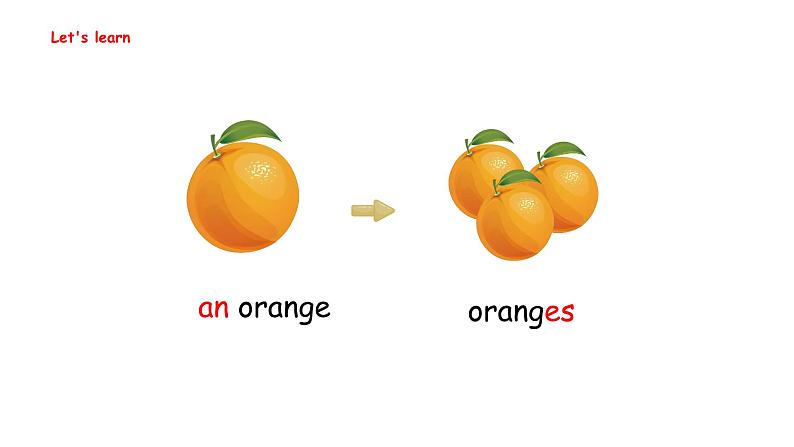 Unit 4 Plants around us Part A Let's learn & Listen and ch(课件)-2024-2025学年人教PEP版(2024)英语三年级上册07