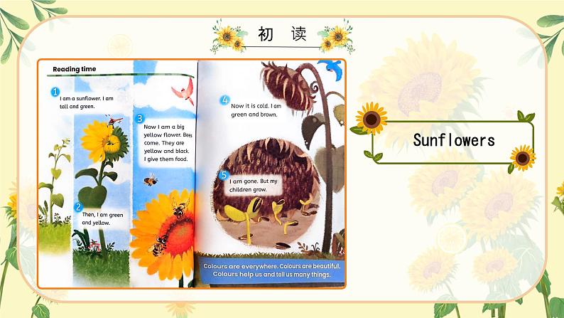 Unit 5 The colourful world C Reading time(课件)-2024-2025学年人教版(2024)英语三年级上册第7页