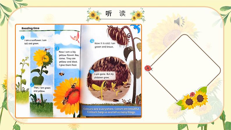 Unit 5 The colourful world C Reading time(课件)-2024-2025学年人教版(2024)英语三年级上册第8页