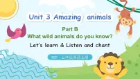 人教版PEP(2024)三年级上册(2024)Unit3 Amazing animalsPart B说课ppt课件