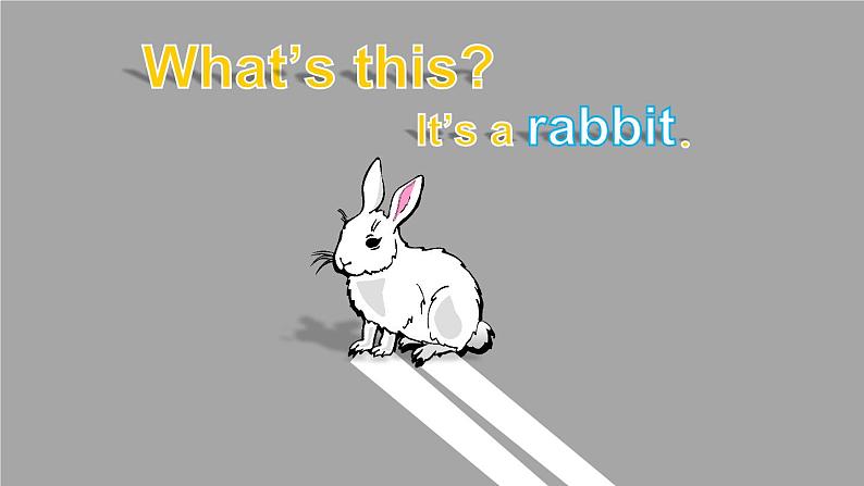 Unit 3 Amazing animals Part B Start to read & C Project & Reading time(课件+教案)-2024-2025学年人教PEP版(2024)英语三年级上册05