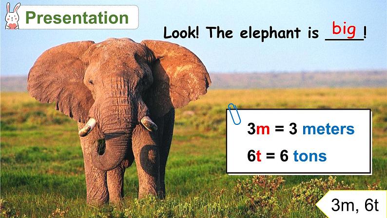 Unit 3 Amazing animals Part B Start to read & C Project & Reading time(课件+教案)-2024-2025学年人教PEP版(2024)英语三年级上册06