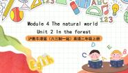 沪教牛津版(五四制)二年级上册unit 2 In the forest优秀ppt课件