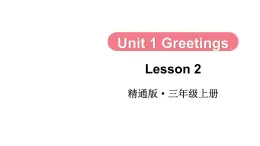 Unit 1 Greetings Lesson 2  课件