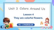 英语Lessons 4 They are colorful flowers集体备课课件ppt