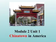 外研版（一起）六上Module 2《Unit 1 I went to Chinatown in New York yesterday》ppt课件1