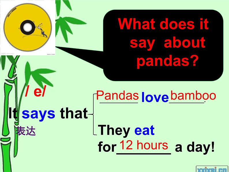 外研版(一起)六上Module 7《Unit 1 Pandas love bamboo》ppt课件3第5页