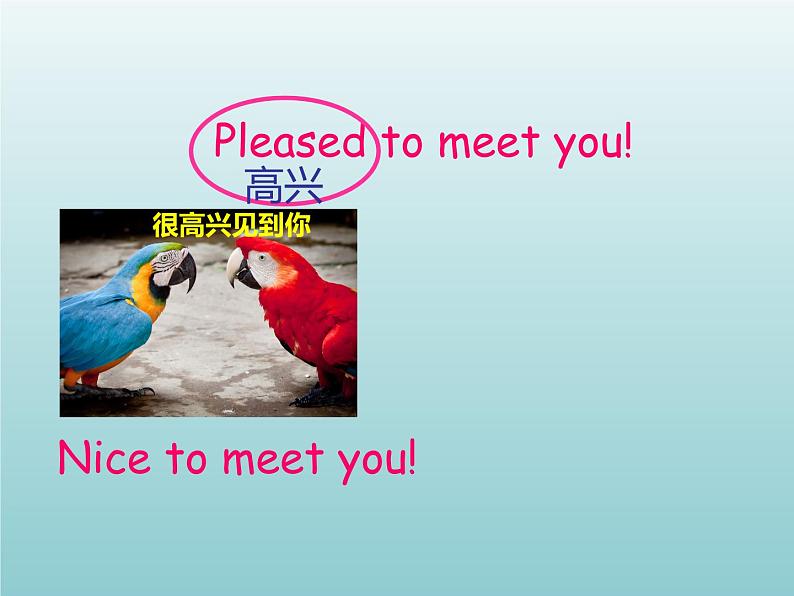 外研版(一起)六上Module 5《Unit 1 Unit 1 Can I write to her》ppt课件2第1页