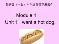 外研版一起小学英语六下《Module 1Unit 1 I want a hot dog，please.》PPT课件 (2)