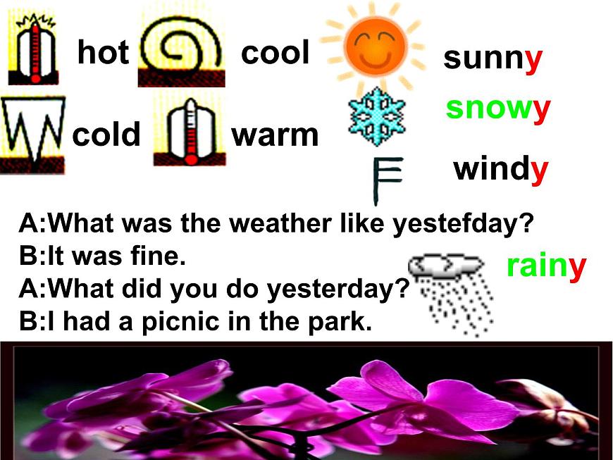 外研版一起小學英語六下《Module 3Unit 1 I took some photos.》PPT課件 (1)第3頁