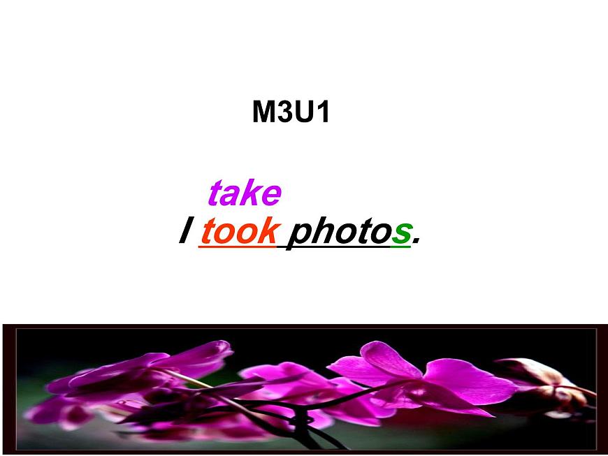 外研版一起小學英語六下《Module 3Unit 1 I took some photos.》PPT課件 (1)第4頁