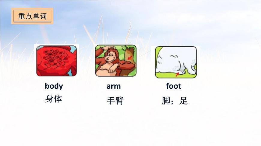 五年級上冊英語課件－Unit 3 Our animal friends第2頁