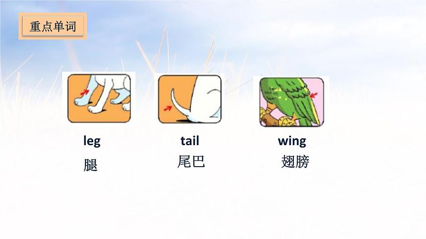 五年級上冊英語課件－Unit 3 Our animal friends第3頁