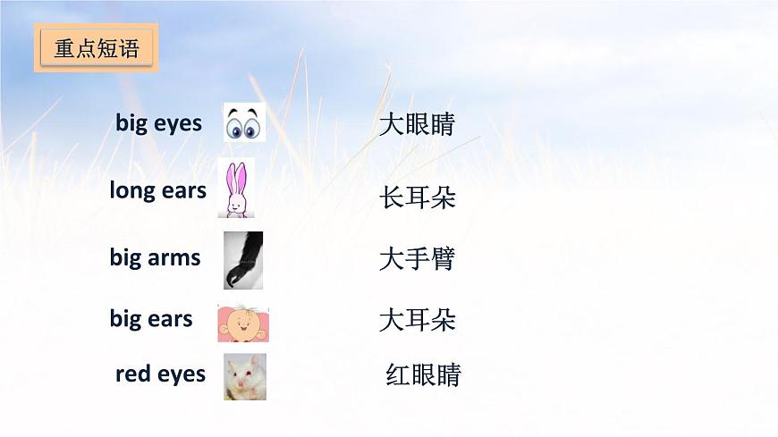五年級上冊英語課件－Unit 3 Our animal friends第5頁