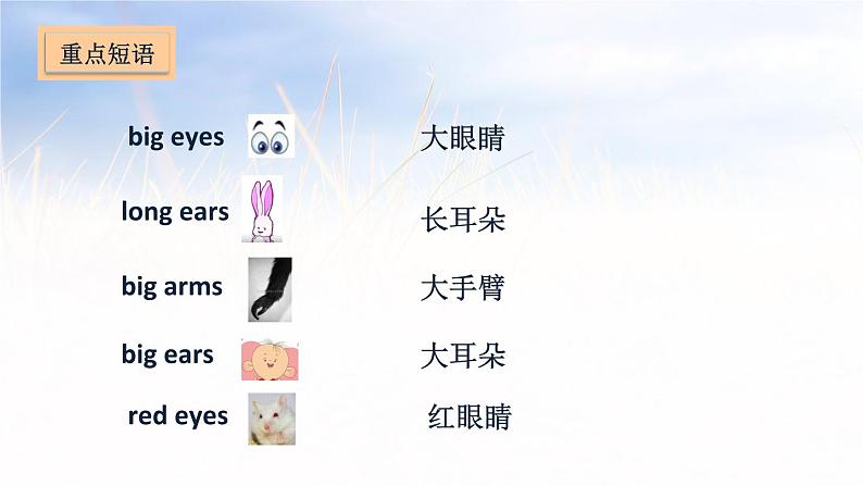 五年级上册英语课件-Unit 3 Our animal friends第5页