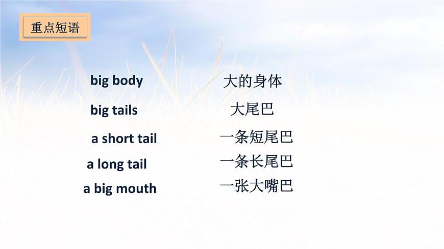五年級上冊英語課件－Unit 3 Our animal friends第6頁