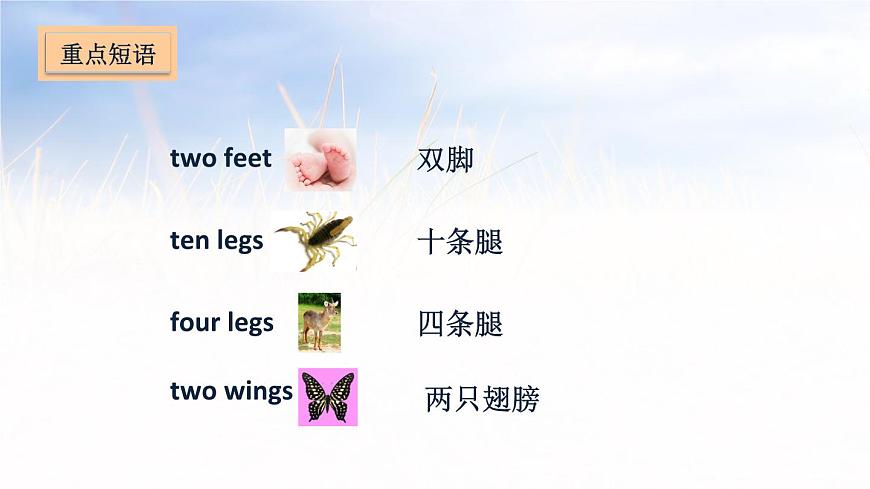 五年級上冊英語課件－Unit 3 Our animal friends第7頁