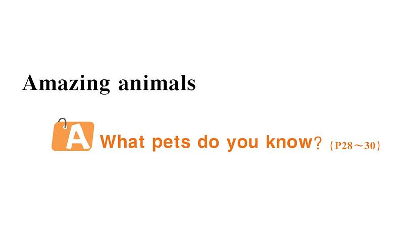 小学英语新人教版PEP三年级上册Unit3 Amazing animals作业课件(2024秋)第1页
