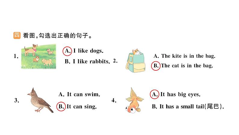 小学英语新人教版PEP三年级上册Unit3 Amazing animals作业课件(2024秋)第5页