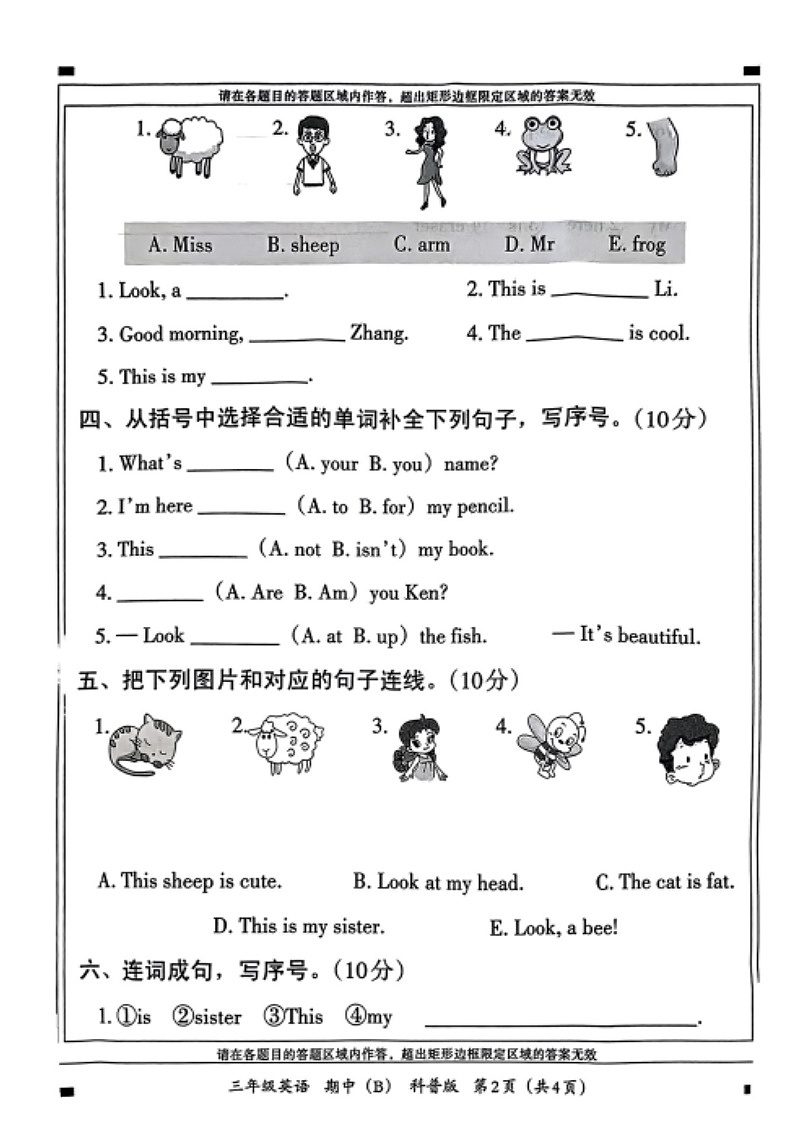 河南省商丘市2024-2025学年三年级上学期期中英语试题02