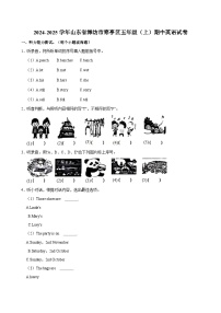 2024-2025学年山东省潍坊市寒亭区五年级上学期期中英语试卷