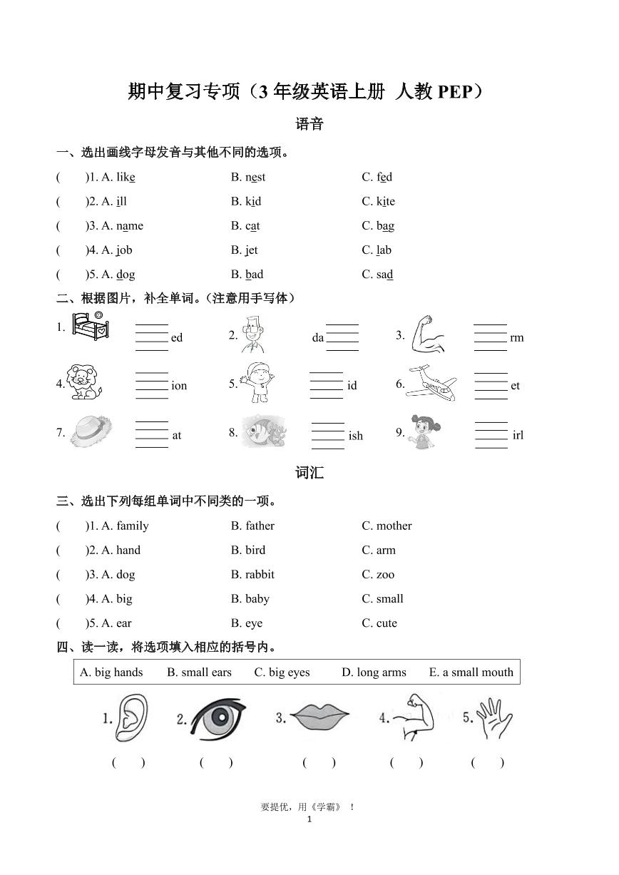 3年级英语上册 人教版期中复习专项训练