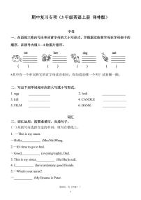 3年级英语上册 译林版期中复习专项练习