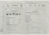 山东省聊城市东昌府区2024-2025学年六年级上学期月考英语试题